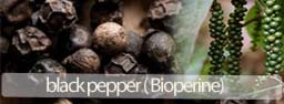 Bioperine or Piperine