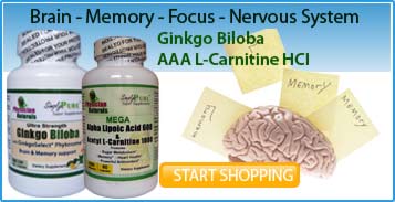 Ginko Biloba Supports Memory - Concentration and Circulation